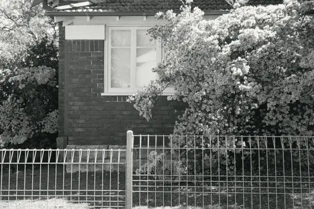 A brick house behind a wire fence and flowering shrubs